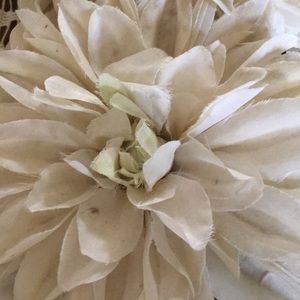 Meet your Posher, Rebecka